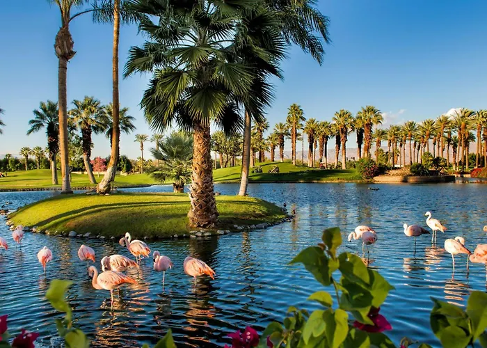 Jw Marriott Desert Springs Resort & Spa